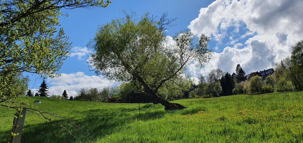 Zum Elleblick Διαμέρισμα Frauenstein  Εξωτερικό φωτογραφία