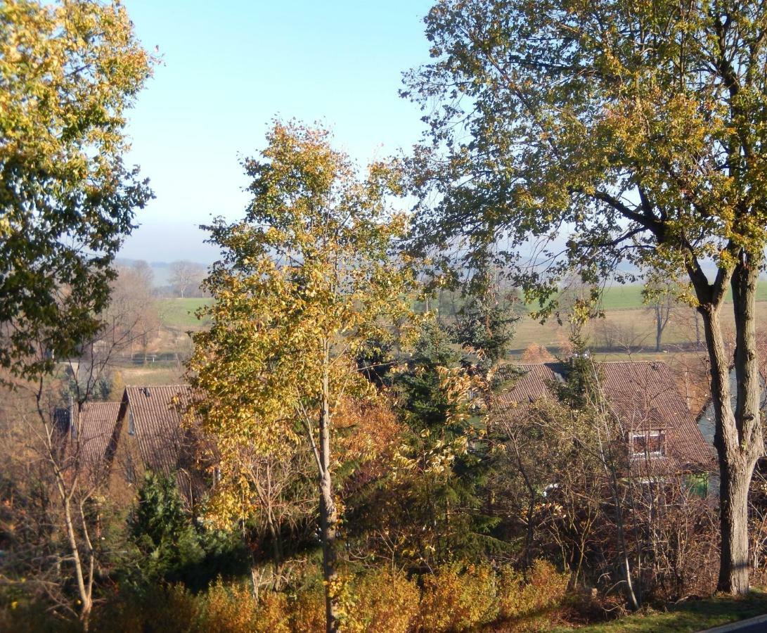 Zum Elleblick Διαμέρισμα Frauenstein  Εξωτερικό φωτογραφία